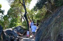 James Bond Island Tour from Krabi by Longtail Boat