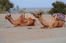 5 Days Golden Triangle Tour With Pushkar