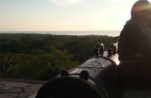 Fireflies and Kuala Selangor Tour Including Dinner