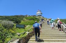 Best of the Cape (Cape Point & Winelands)
