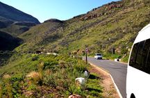 Best of the Cape (Cape Point & Winelands)