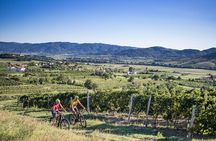 Secret vineyards E-bike tour