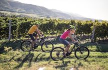 Secret vineyards E-bike tour