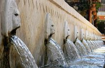 Private Tour Rethymno: Spili, Preveli, Kourtaliotiko, Old Town
