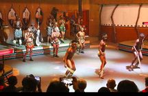 Private Lesedi Cultural Village Half Day Tour 