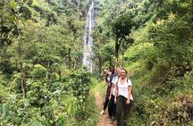 Materuni Waterfalls 