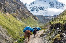 Salkantay Trek 4 Days to Machu Picchu - Best trek in Peru