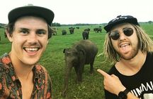 Kandy - Minneriya National park & Sigiriya Rock Fortress (Tours & Entrance fees)