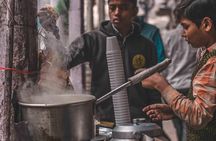Red Fort & Old Delhi: Half Day Heritage Walking tour