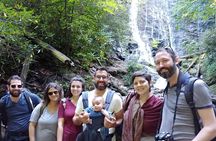 Waterfalls and Breweries Tour from Bryson City, NC