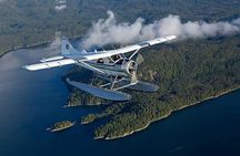 Prince of Wales Island Bear-Viewing Tour By Air From Ketchikan