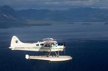 Prince of Wales Island Bear-Viewing Tour By Air From Ketchikan