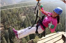 Combo Course Zipline Tour