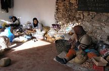 Shared group day trip from Marrakech to Essaouira mogador