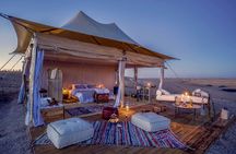 All exclusive, Agafay Desert, Quad Bike, Camel Ride & Dinner Show