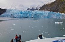 Prince William Sound Glacier Tour - Whittier