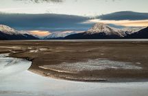 Turnagain Arm Tour