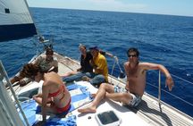 Morning Caldera Sailing Cruise
