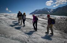 Matanuska Glacier Ice Fall Trek
