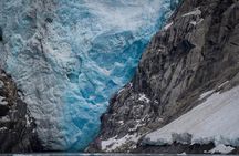 Glacier & Wildlife Discovery Tour