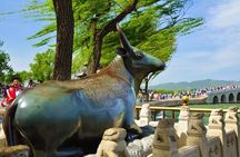 Beijing Private Tour to Summer Palace plus Drum Tower Performance and Rickshaw