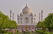 Taj Mahal & Wildlife SOS Elephant Sanctuary Tour from Delhi/Agra