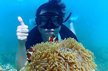 Bintan Snorkeling Tour