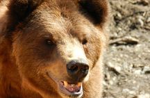  PREMIUM Sitka Scenic Tour