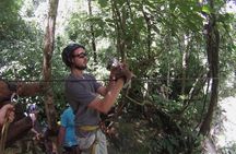 Zipline Adventure from Medellin