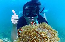 Bintan Snorkeling Tour