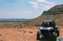 Mojave Desert Off Road RZR Tour in Las Vegas