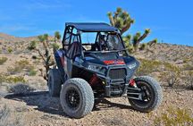 Pioneer Desert Adventure at the Historic Pioneer Saloon!