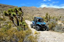 Pioneer Desert Adventure at the Historic Pioneer Saloon!