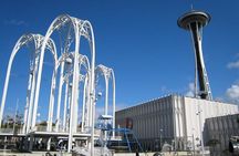 Seattle Cruise Excursion: Private Grand City Tour