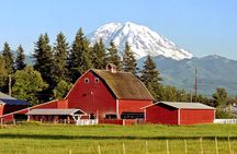 Private Mt Rainier National Park Day Trip from Seattle