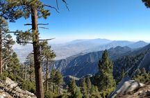 Palm Springs Aerial Tramway Admission Ticket