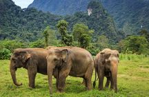 From Colombo: Udawalawa National Park Wildlife Safari