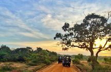 From Colombo: Udawalawa National Park Wildlife Safari