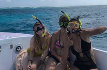 Hol Chan Full-Day Bucket List Snorkeling and Marine Life Tour