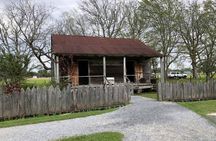 Oak Alley or Laura Plantation Tour from New Orleans