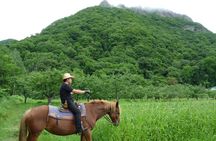 Horseback-Riding in a Country Side in Sapporo - Private Transfer is Included