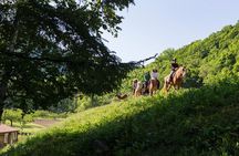 Horseback-Riding in a Country Side in Sapporo - Private Transfer is Included