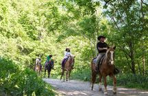 Horseback-Riding in a Country Side in Sapporo - Private Transfer is Included