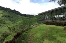 Cameron Highlands, Garden of Nature Full Day Private Guided Tour