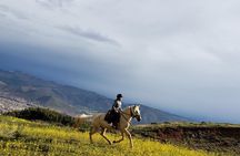 Half day Horseback Riding tour around Sacsayhuaman park