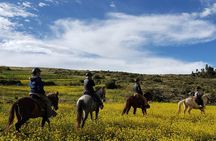 Horseback riding in Cusco to the Temple of the Moon
