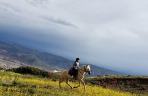 Horseback Riding Tour to the Devil's Balcony from Cusco