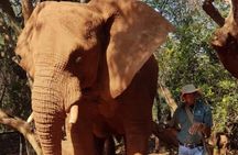 Bush Babies & Monkey Sanctuary and Elephants walk Private 