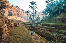 Balinese Healing Experiences 