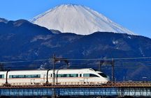 Private Walking Tour of Hakone. Price per group